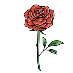 Valentine’s Day Rose Clipart Set – Hand-Drawn Floral PNG with Transparent Background