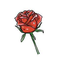 Valentine’s Day Rose Clipart Set – Hand-Drawn Floral PNG with Transparent Background