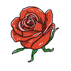 Valentine’s Day Rose Clipart Set – Hand-Drawn Floral PNG with Transparent Background