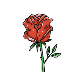 Valentine’s Day Rose Clipart Set – Hand-Drawn Floral PNG with Transparent Background