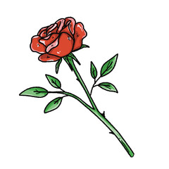 Valentine’s Day Rose Clipart Set – Hand-Drawn Floral PNG with Transparent Background