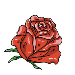 Valentine’s Day Rose Clipart Set – Hand-Drawn Floral PNG with Transparent Background
