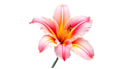 Naklejka premium Botanical illustration of a stunning pink and orange flower with smooth, curved petals. The digital artwork captures the subtle color transitions and fine veins of each petal, creating a soft yet vibr