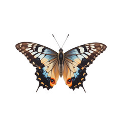 Obraz premium butterfly isolated on transparent background