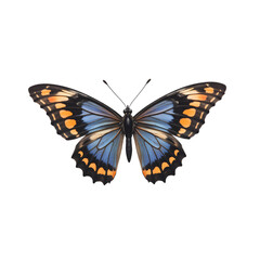 Fototapeta premium butterfly isolated on transparent background