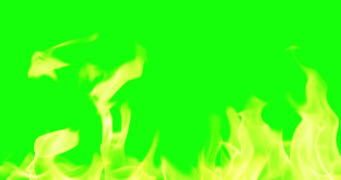 Beautiful Burning Fire Background Video Use Green Screen