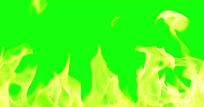 Beautiful Burning Fire Background Video Use Green Screen