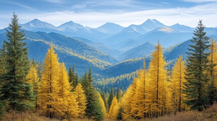 Golden Larch Trees Framing a Majestic Mountain Valley in Autumn