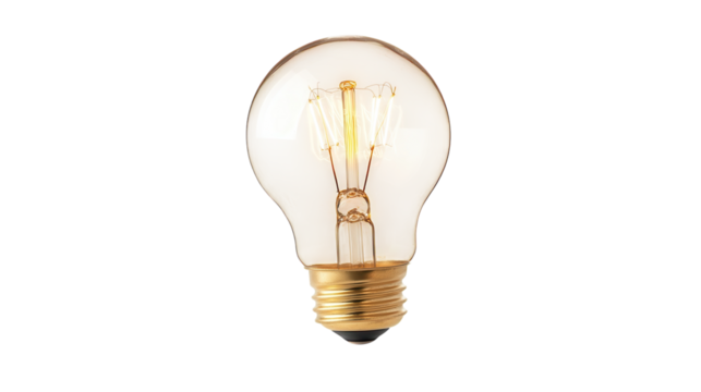 Unique vintage light bulb with clear glass and exposed filament design showcasing timeless elegance in home decor