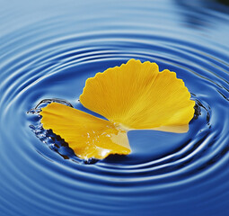 Golden Ginkgo Leaf Floating on Water Ripples

