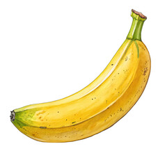 bananas isolated on white