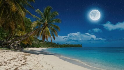 Obraz premium Tropical beach at night with palm trees under a bright full moon and clear sky, soft waves lapping at the sandy shore in vibrant blue tones