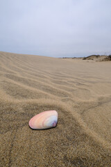  A delicate seashell rests on the rippled sand dunes of Sandwich Harbour, showcasing the serene beauty of the desert meeting the sea under an overcast sky.