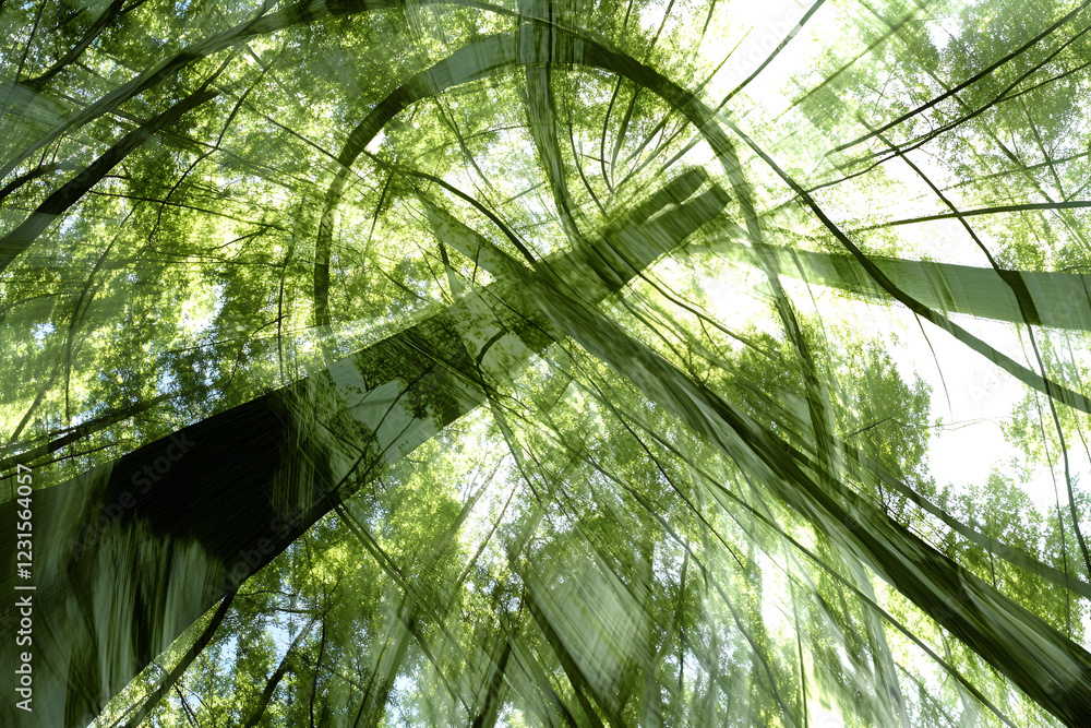 Poster sun dappled canopy: looking up through a dense forest canopy, sunlight filters through leaves creati