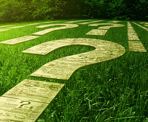 Newspaper Question Marks in Grass: A path of newspaper cutouts forming question marks winds through a vibrant green field, symbolizing uncertainty, choices, and the search for answers.  