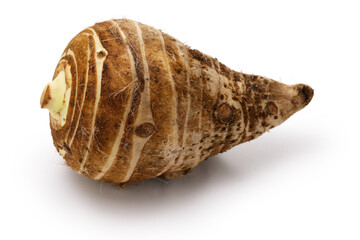 Ebi-imo, shrimp shaped taro, kyoto vegetable in Japan.