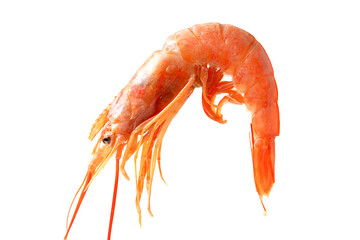 Close up of Red cooked shrimp isolated on a white background.