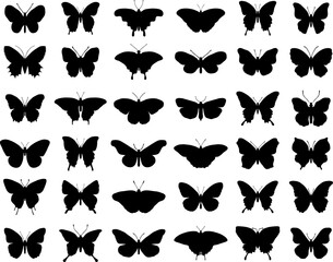 Black silhouettes of butterflies