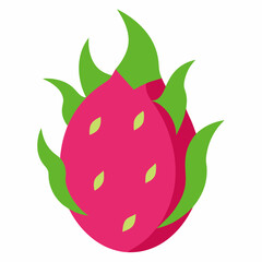 Fresh Dragon Fruit vector on white background.