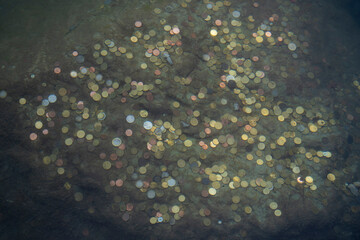Lots of coins thrown for luck, laying on the bottom of water in fountain.