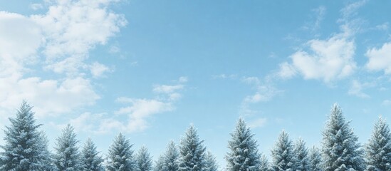Winter landscape with snow-covered evergreen trees in the foreground against a clear blue sky with soft white clouds scattered above