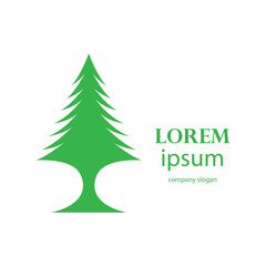 Fototapeta premium pine tree logo design in the afternoon