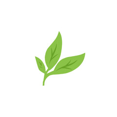 green leaf vector design