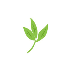 green leaf vector design