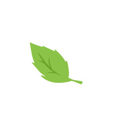 green leaf vector design