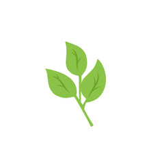 green leaf vector design