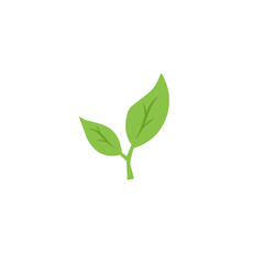 green leaf vector design