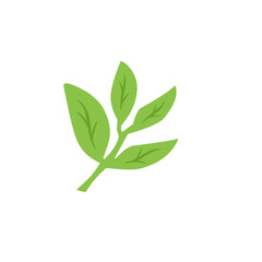 green leaf vector design