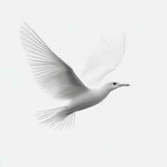 Fototapeta premium graceful white bird in flight against white background, showcasing its elegant wings and serene presence. image captures sense of freedom and tranquility