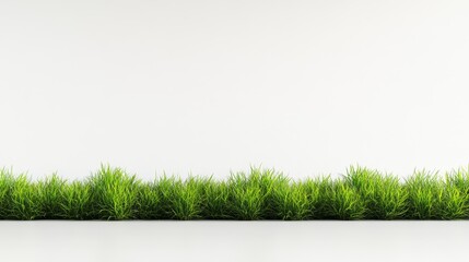 Green Grass Border on White Background 3D Render, Nature, Minimalist, Grass Texture Keywords Grass, 3D render