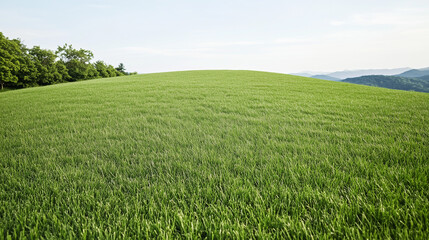 Obraz premium Rolling Green Hills: A panoramic view of a rolling green hill, with lush grass stretching as far as the eye can see. The vibrant green landscape is bathed in soft sunlight.