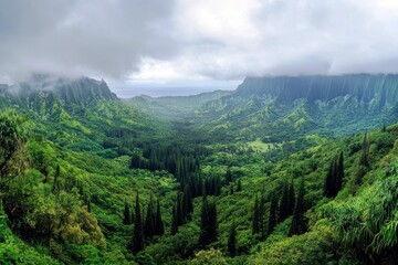 Fototapeta premium Lush Tropical Valley Surrounded by Misty Mountains Beneath a Cloudy Sky in a Scenic Nature Landscape