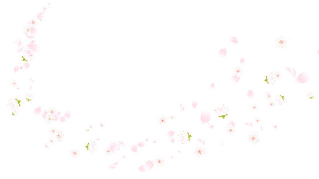 spring time flower cherry blossoms and petals trail on transparent background, png  cosmetics and beauty season sale overlay design element