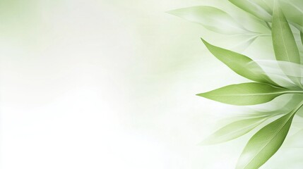 Serene Green Leaves  Nature Background  Eco Friendly Design