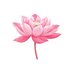 Fototapeta premium A vibrant pink lotus flower in full bloom, showcasing delicate petals and intricate details, isolated on a transparent background.