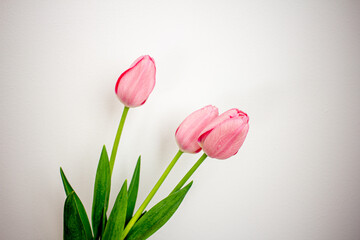 Spring flowers, pink tulips in a glass vase