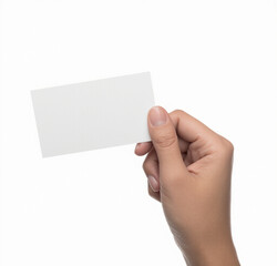 Fototapeta premium 