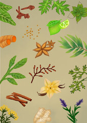 picture of spice pattern illustration