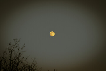 La luna piena durante il tramonto