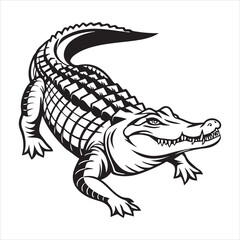 alligator