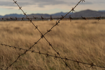 barbed wire fence close up