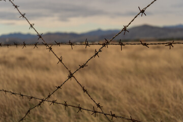 barbed wire fence close up