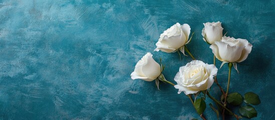 White roses arranged artistically on a textured teal background with soft shadows creating a serene and elegant atmosphere.