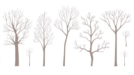 Bare winter trees silhouettes, white background, nature design