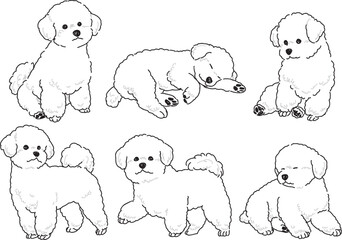 様々なポーズのビションフリーゼの手書きイラストセット