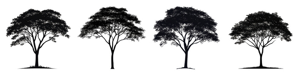 Minimalist silhouette of a solitary tree in a natural landscape at different times of the day from dawn to dusk creating a serene and contemplative atmosphere through the changing light and mood